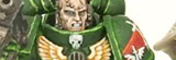 bevulf's DA strikeforce
