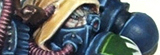 bevulf's DA strikeforce