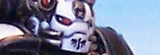 Karch's Ravenwing strikeforce