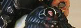 Mortarion's Seth
