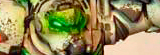 rpedro'ss Deathwing