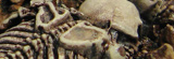Steve Woods' Necron phalanx